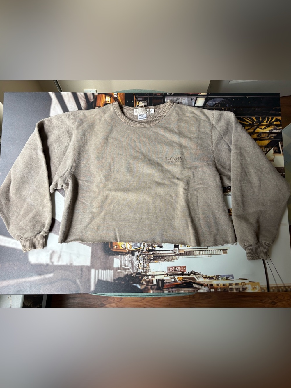 Vintage Northern Reflections Cropped Sweatshirt - Light Taupe